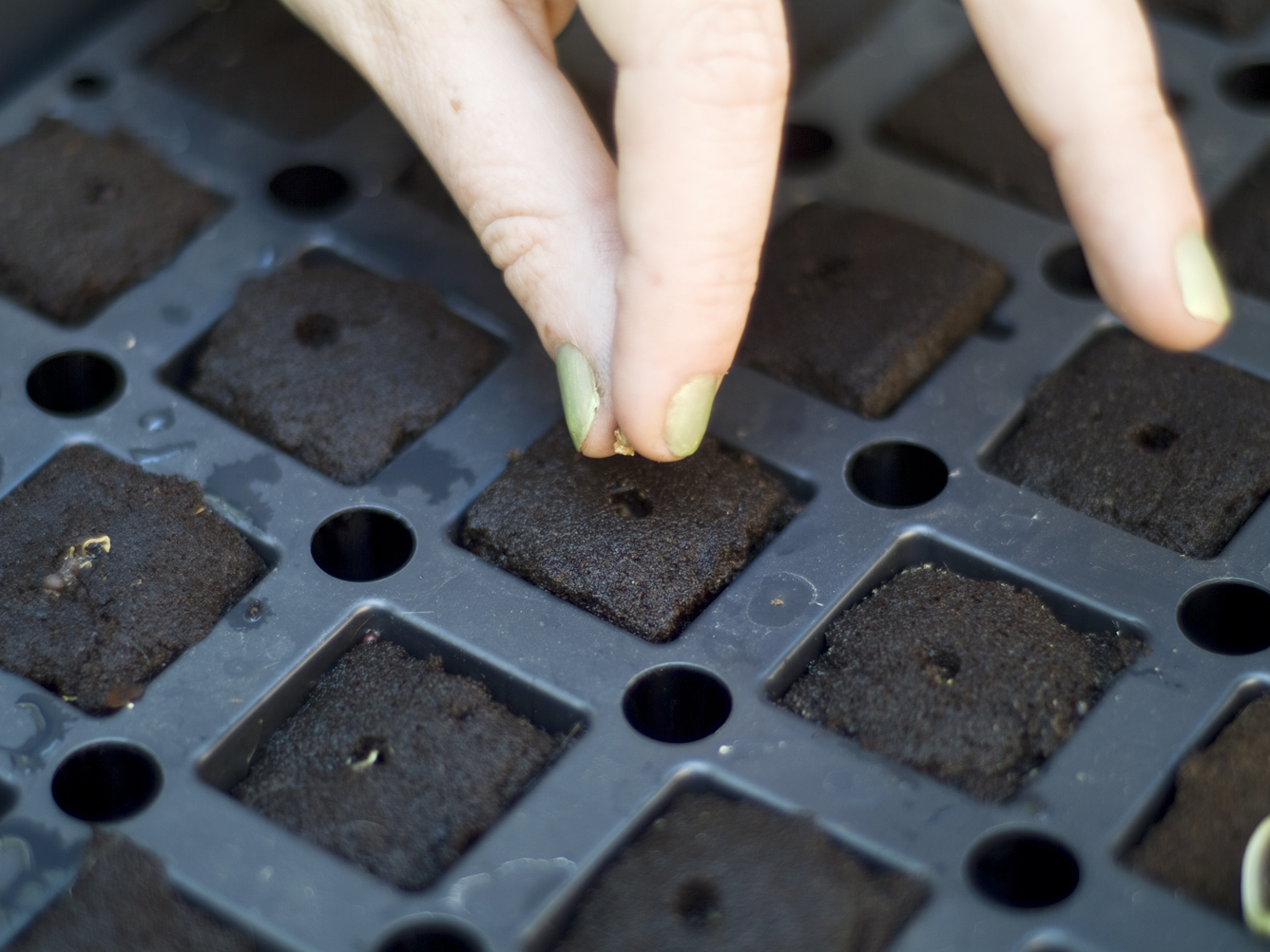 Hydroponic Veggie&nbsp;Garden