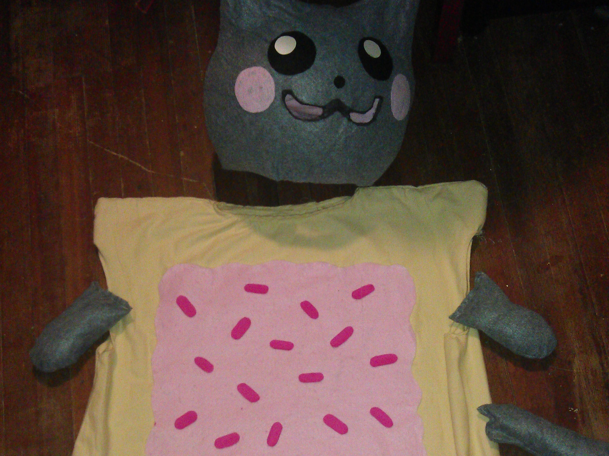 Nyan Cat Costume with EL Rainbow