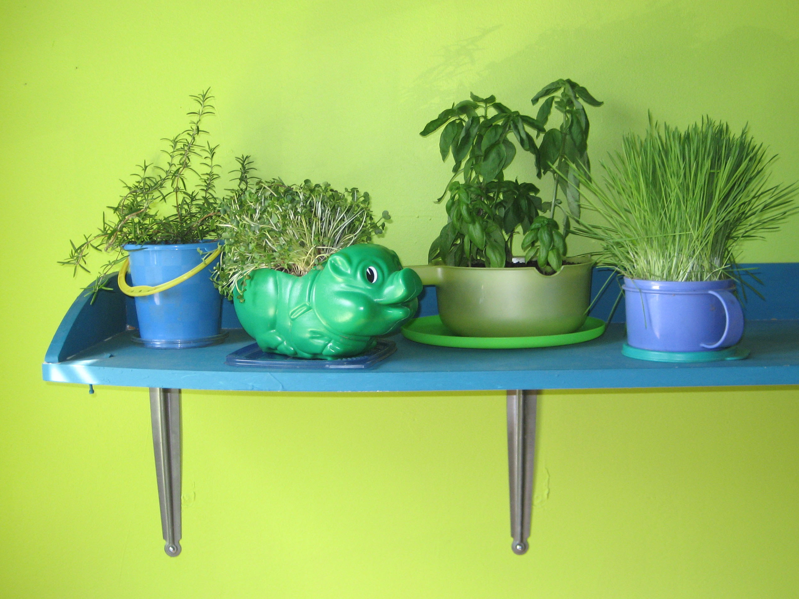 Plastic Herb&nbsp;Planters