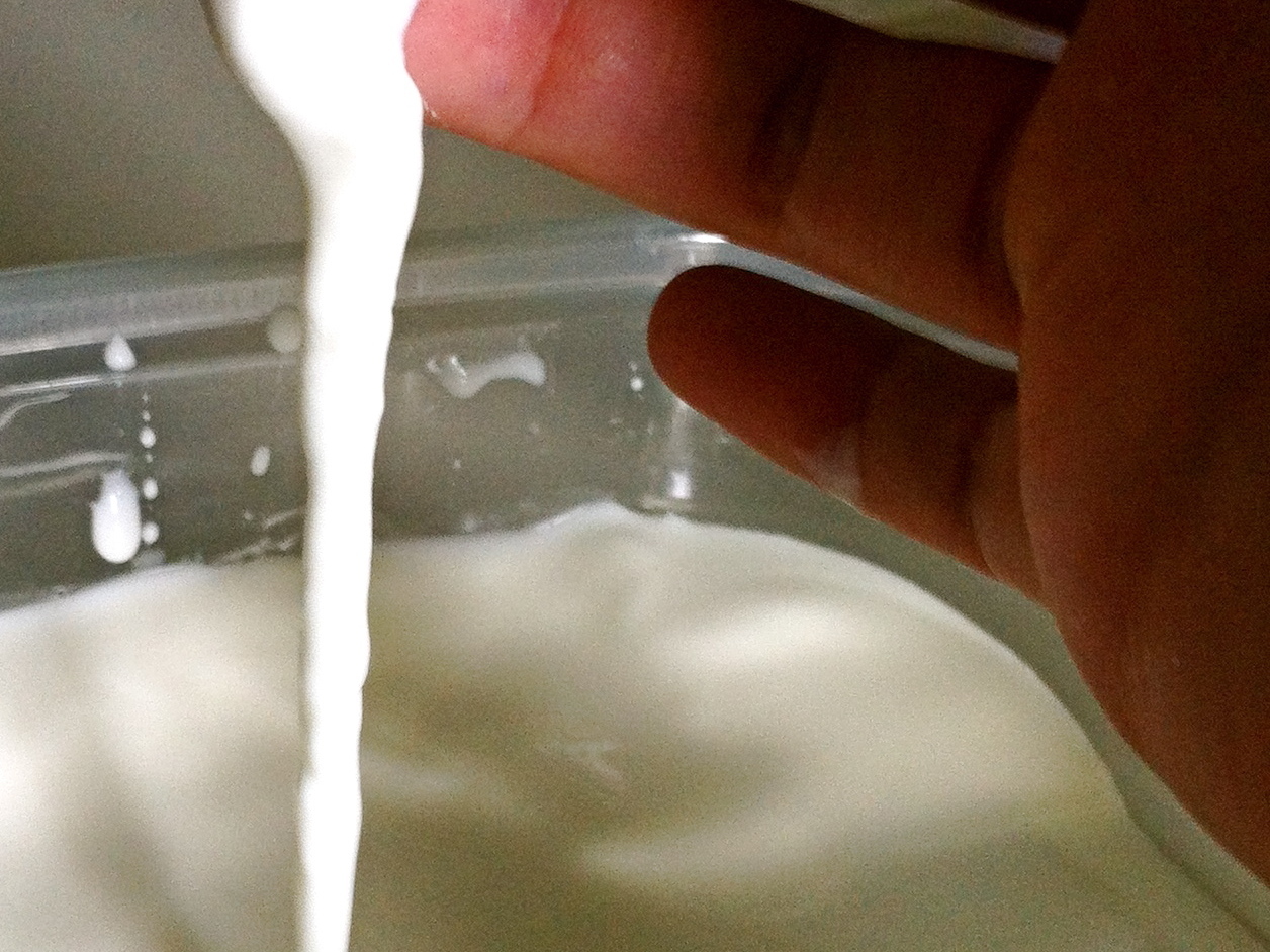 Dr. Seuss Oobleck Experiment: Is it solid or liquid? Or&nbsp;BOTH?