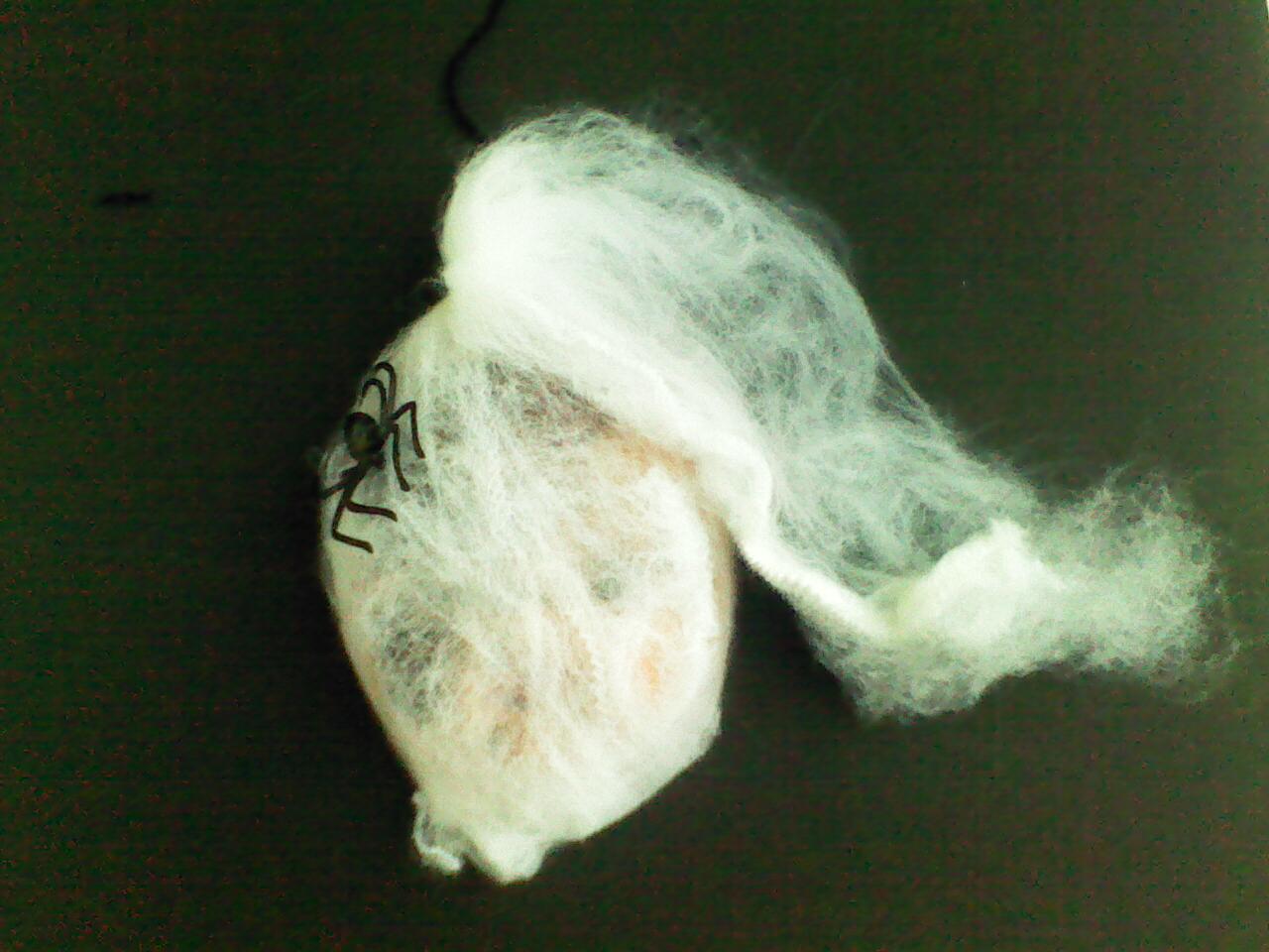 New Project: WebHeads! Create Spiderweb-Trapped Doll Heads for Halloween