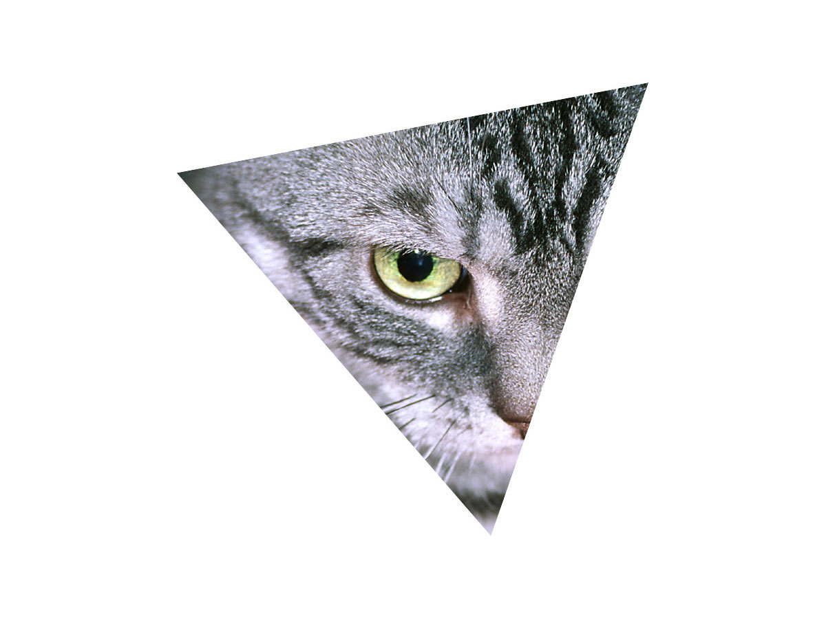 Kitty&nbsp;Kaleidoscope