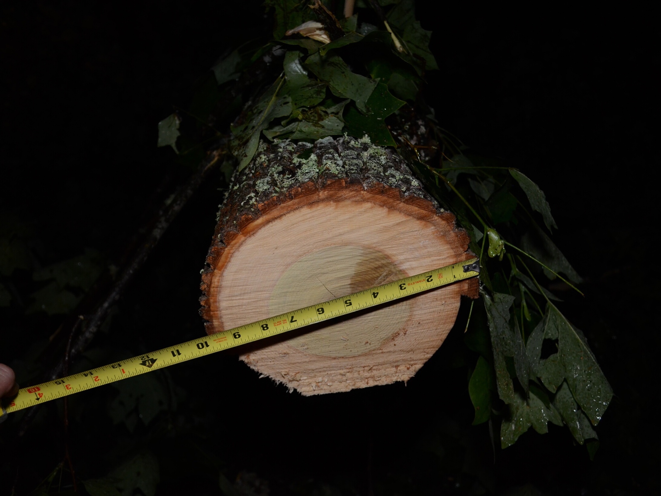 Nighttime Disaster&nbsp;Photography