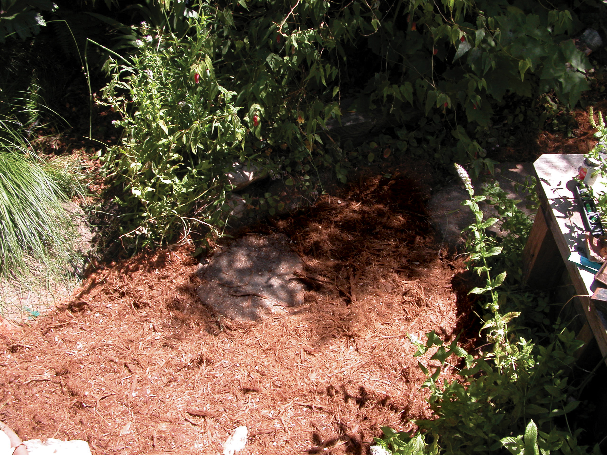 Backyard Graywater System