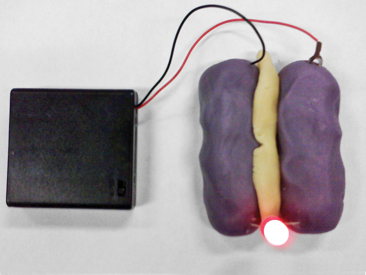 Squishy&nbsp;Circuits