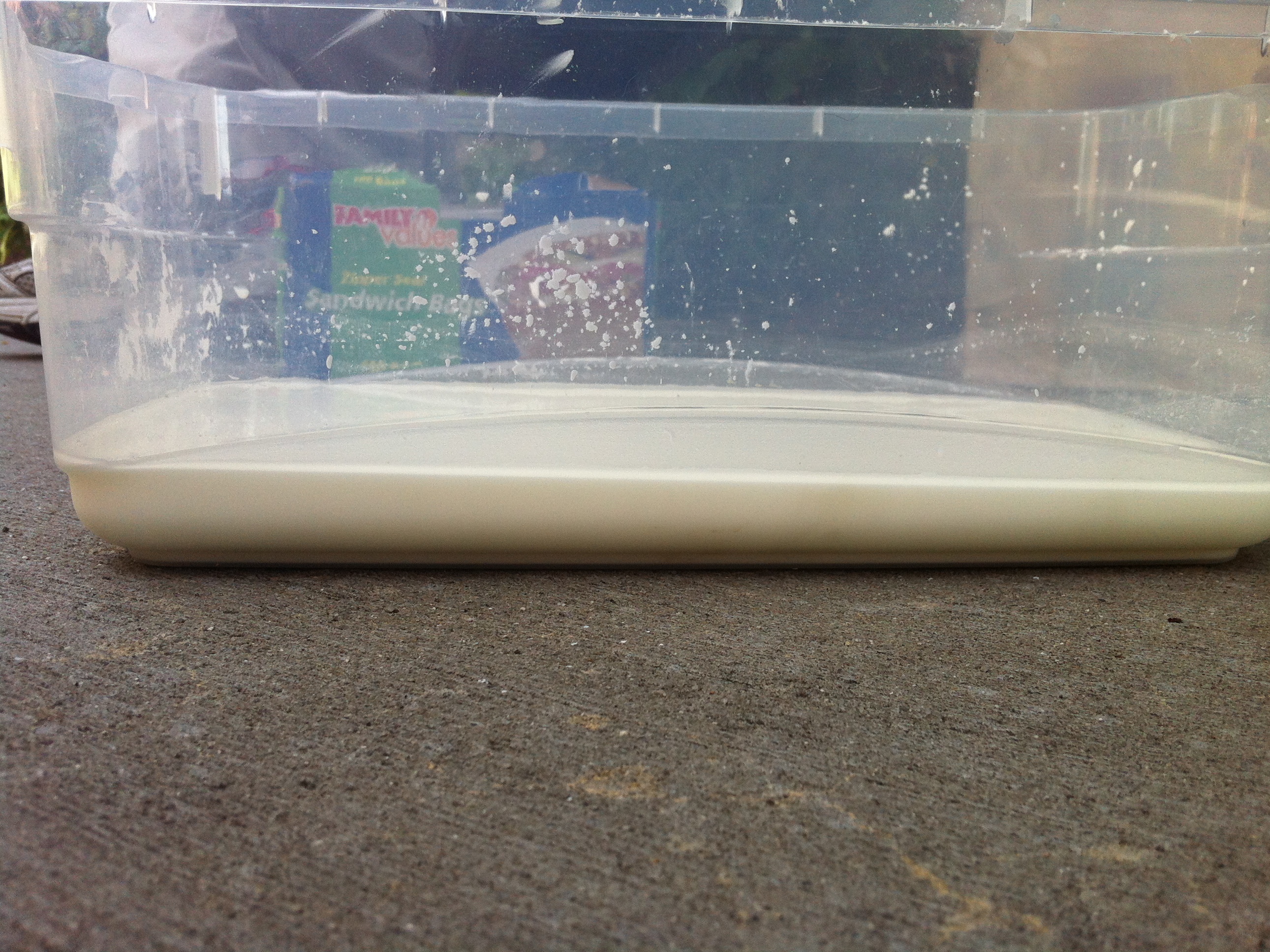 Dr. Seuss Oobleck Experiment: Is it solid or liquid? Or&nbsp;BOTH?