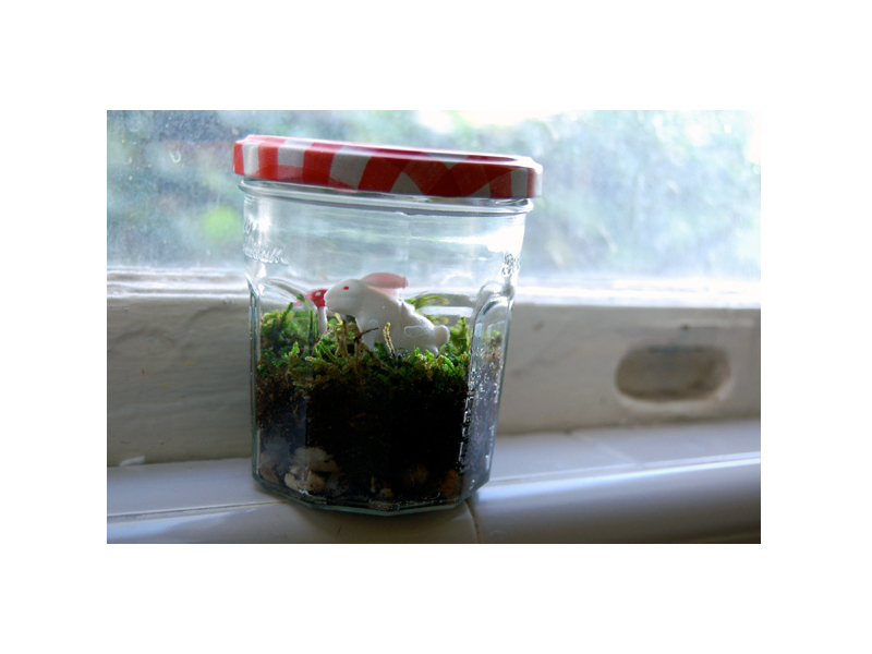 Mason Jar&nbsp;Terrarium