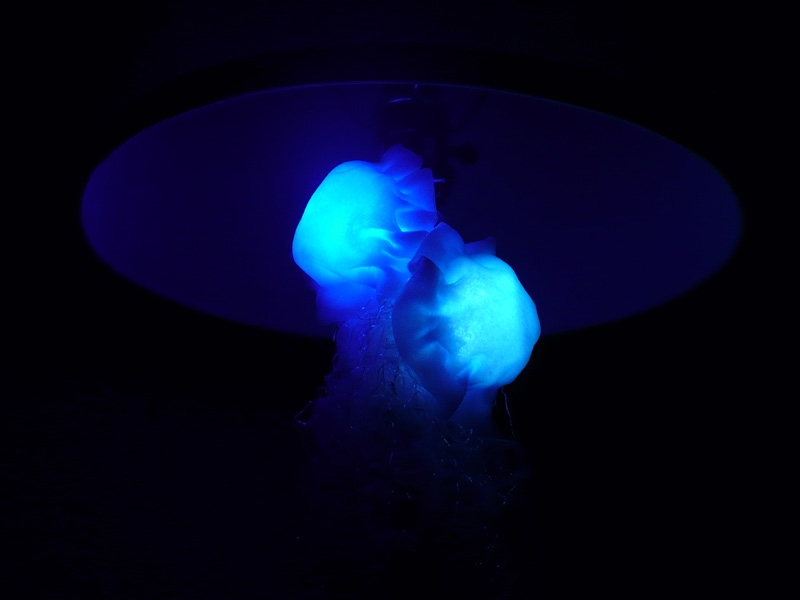 Extreme LED&nbsp;Throwies