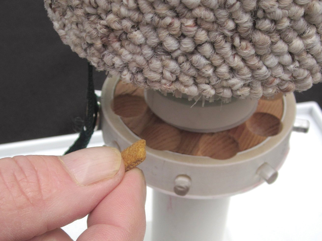 Cat Scratch&nbsp;Feeder