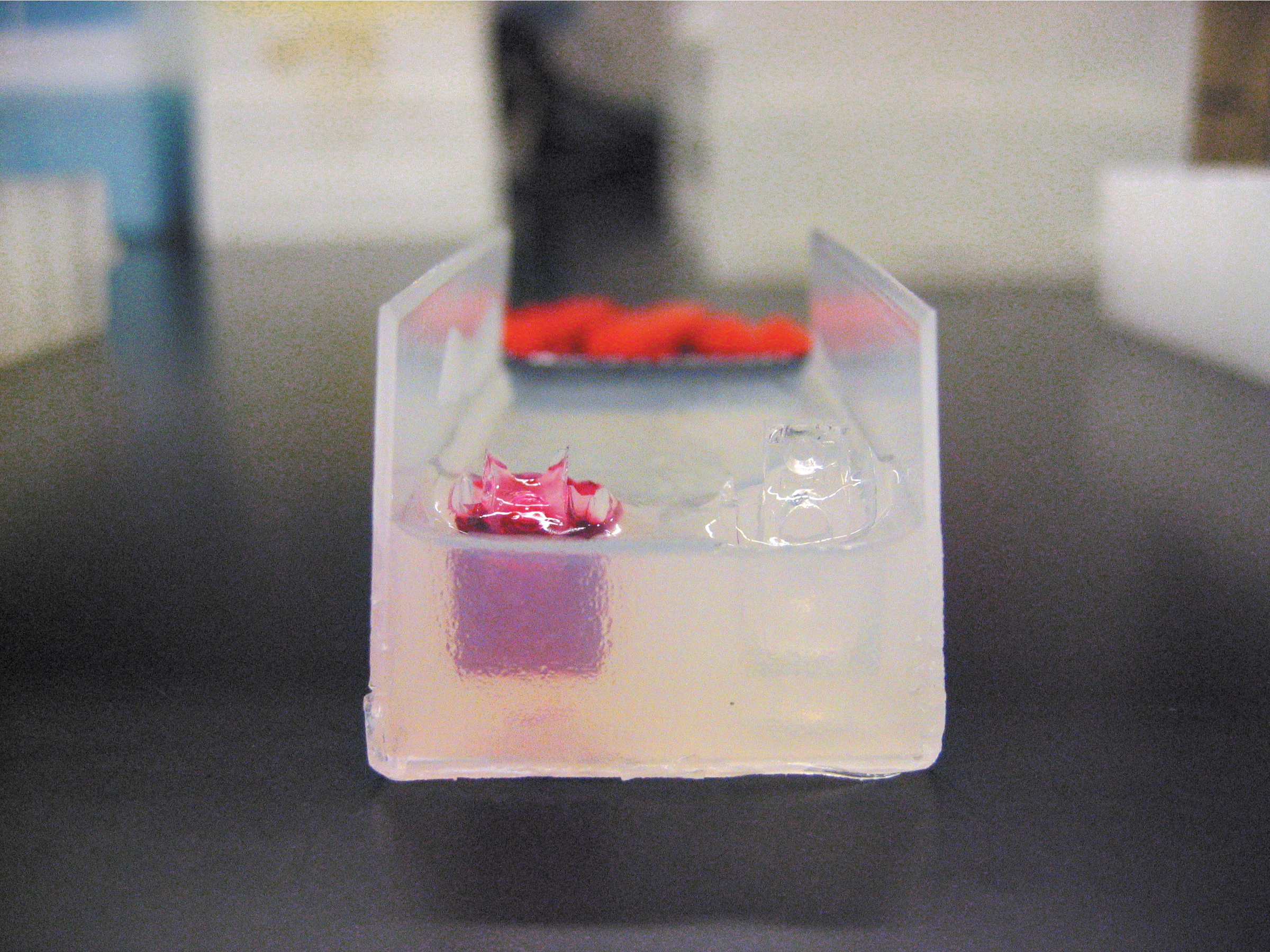 Home Molecular&nbsp;Genetics