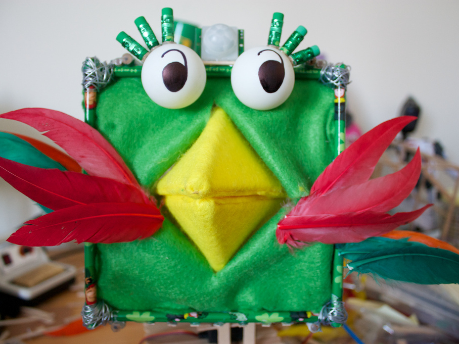 New Project: RoboBrrd