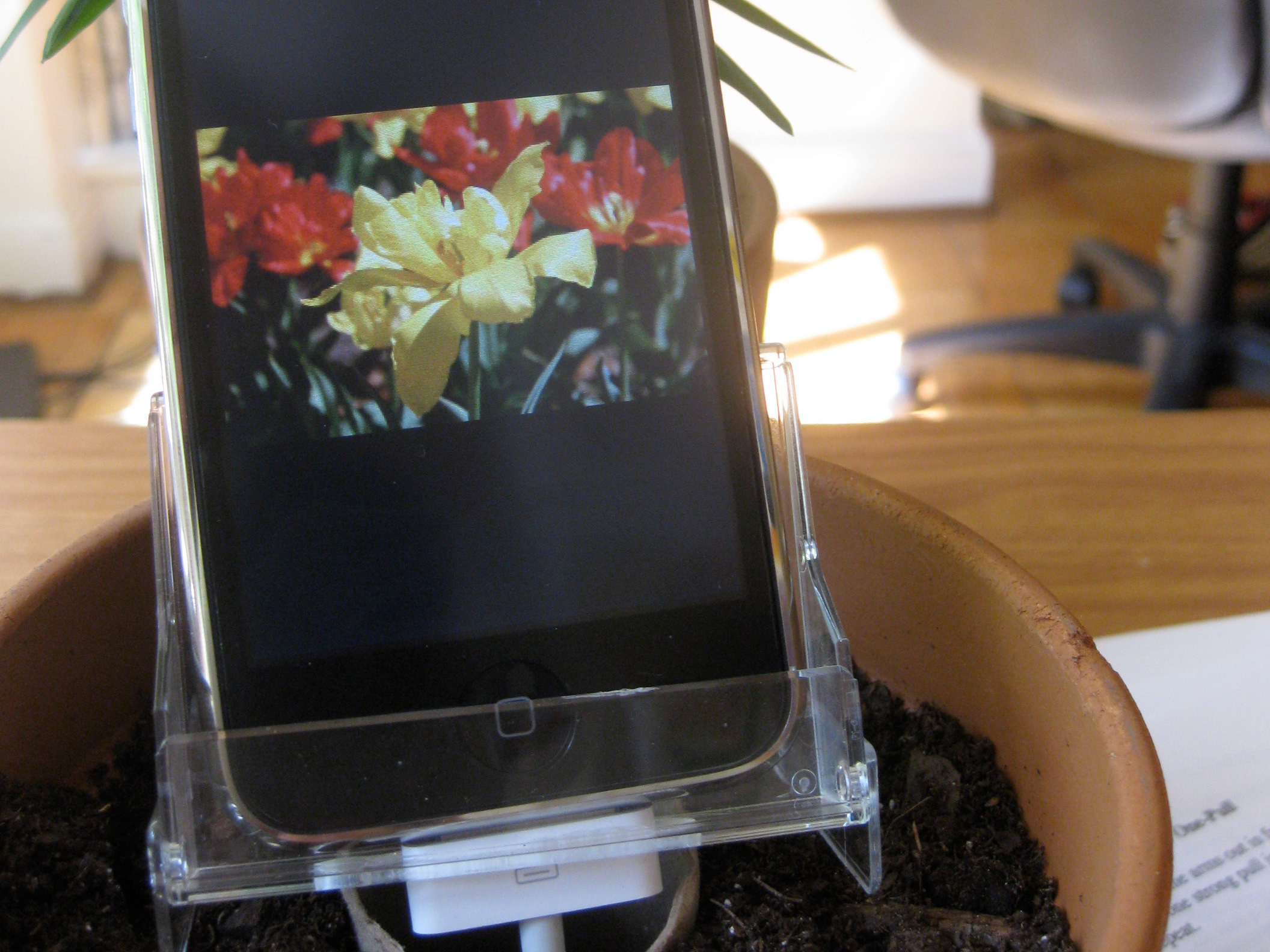 Flower Pot iPhone&nbsp;Charger