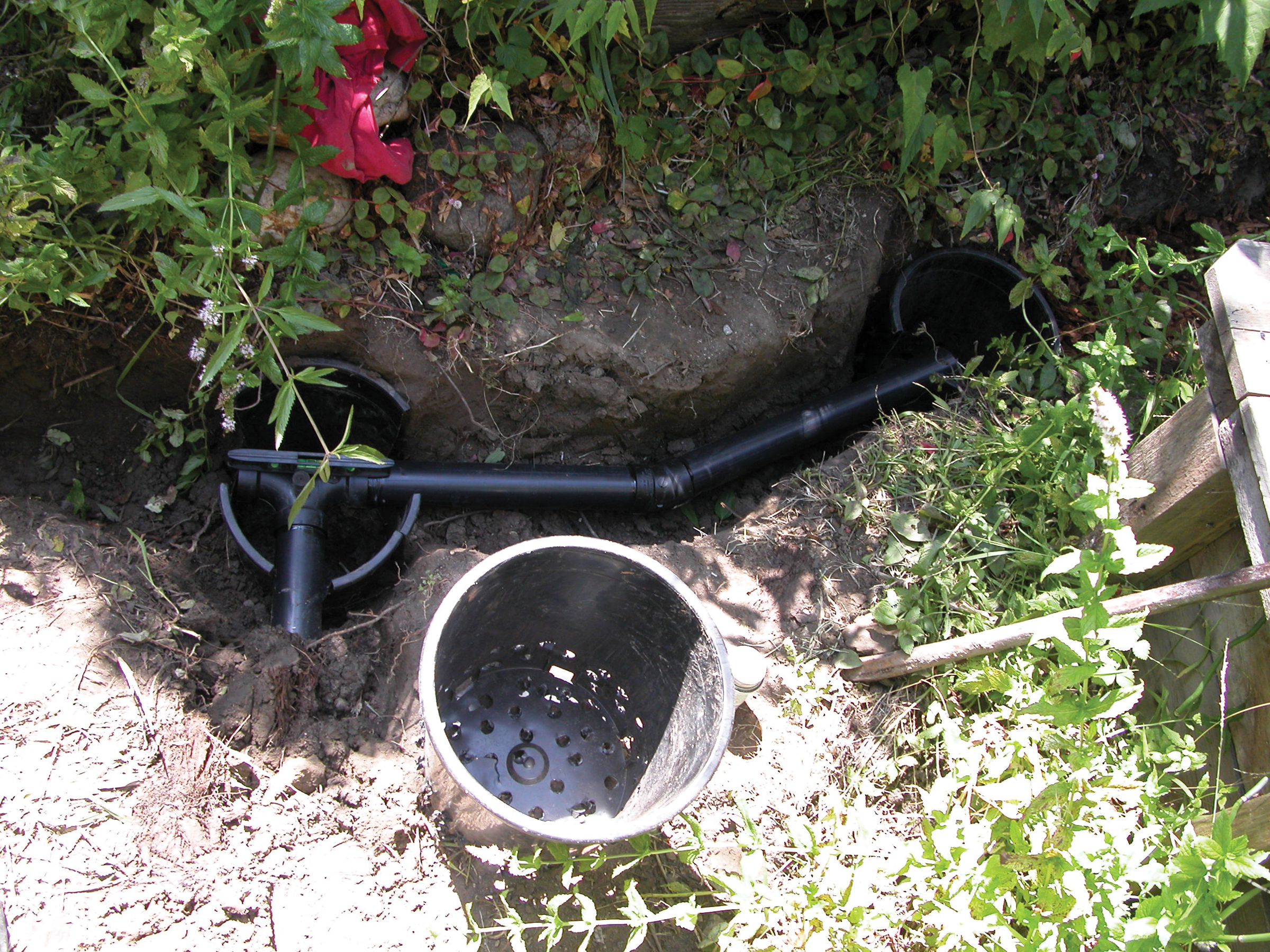 Backyard Graywater System